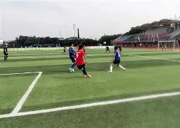 关于摩托车赛热身赛掀起高潮,北城白虎队鏖战岭东天狼队,老将里程碑之夜——临场应变见真章的信息 关于摩托车赛热身赛掀起高潮,北城白虎队鏖战岭东天狼队,老将里程碑之夜——临场应变见真章的信息